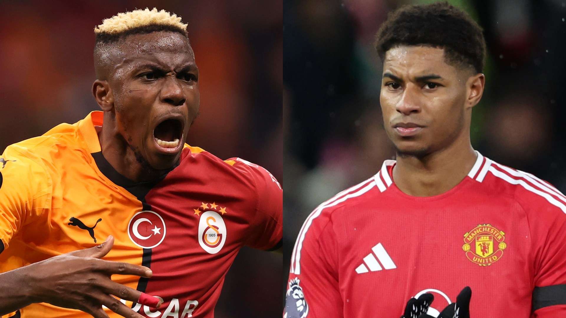 数额也需要 数额也需要