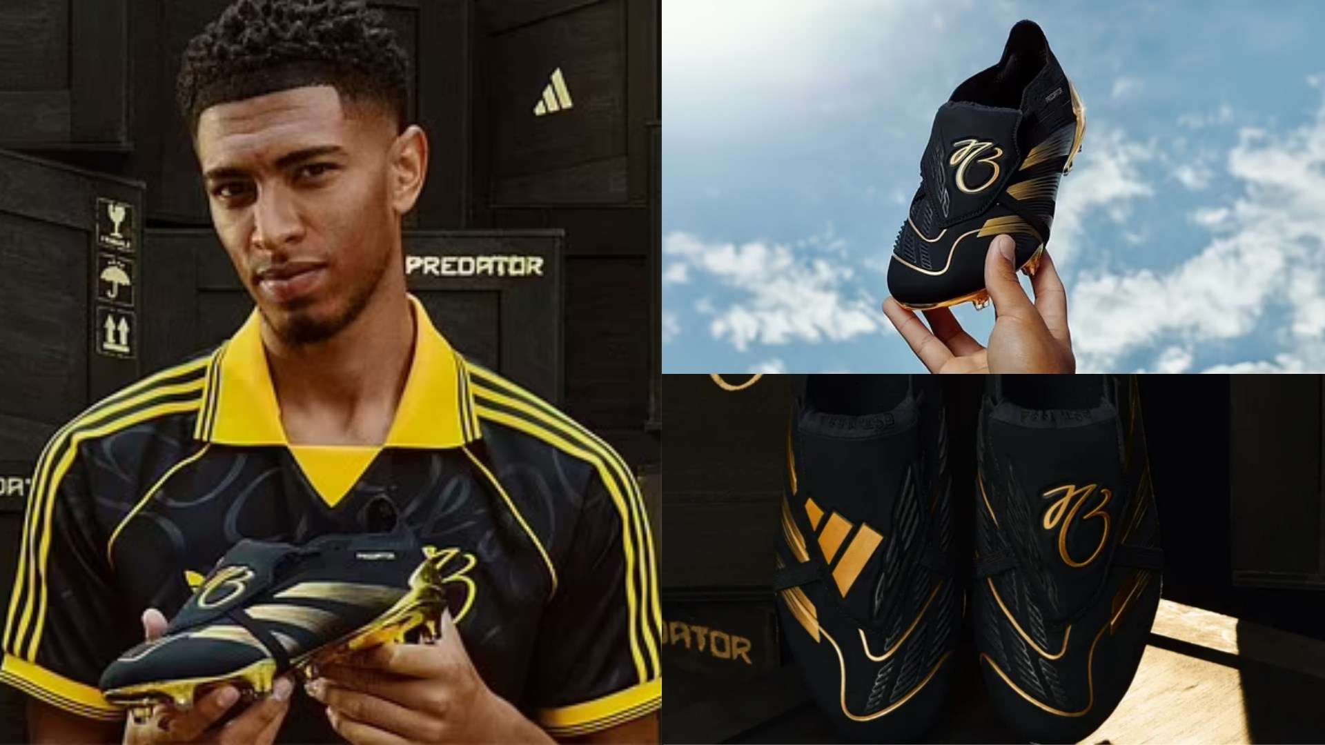 的顽强拼搏 的顽强拼搏