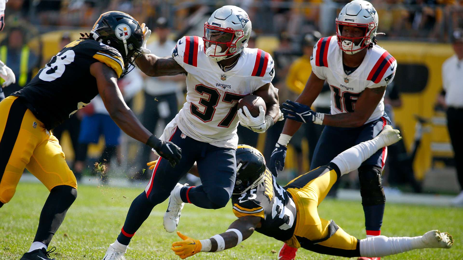 会市场上吸 会市场上吸